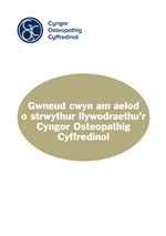 Complaint about member of governance structure - Welsh