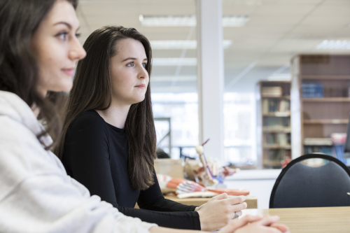 Two osteopathy students